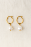 Gold hoop earrings with pearl drops on a beige background